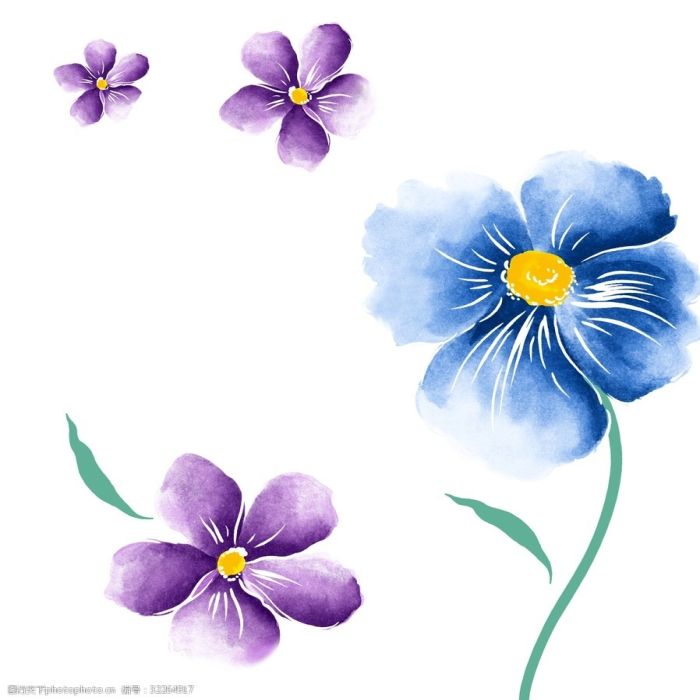 蟑螂消杀认准马小虫！线上下单+持证团队，让居家除蟑更省心