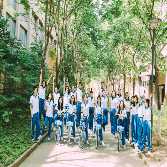 会议合影，摄影摄像