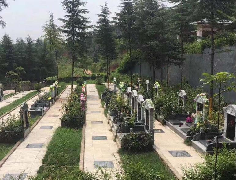 洛阳南山陵园清明祭扫班车服务通知