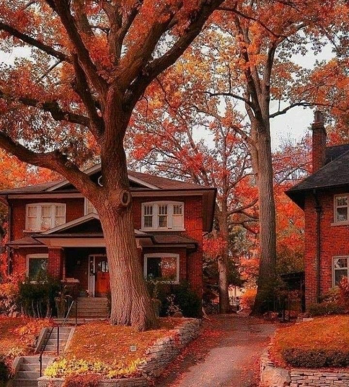 南宁专业办理加拿大澳洲新西兰英国签证拒签翻案