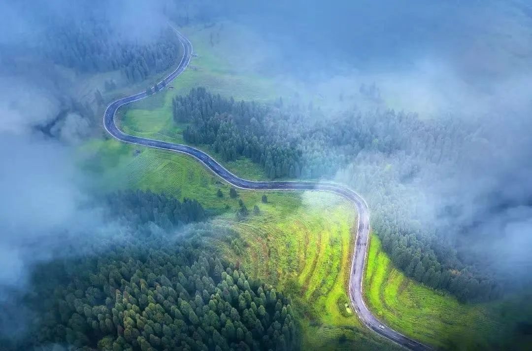 加拿大澳洲新西兰美国英国移民留学和签证核心关键问题