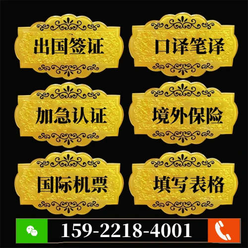 美国个人旅游签证，十年多次往返签证