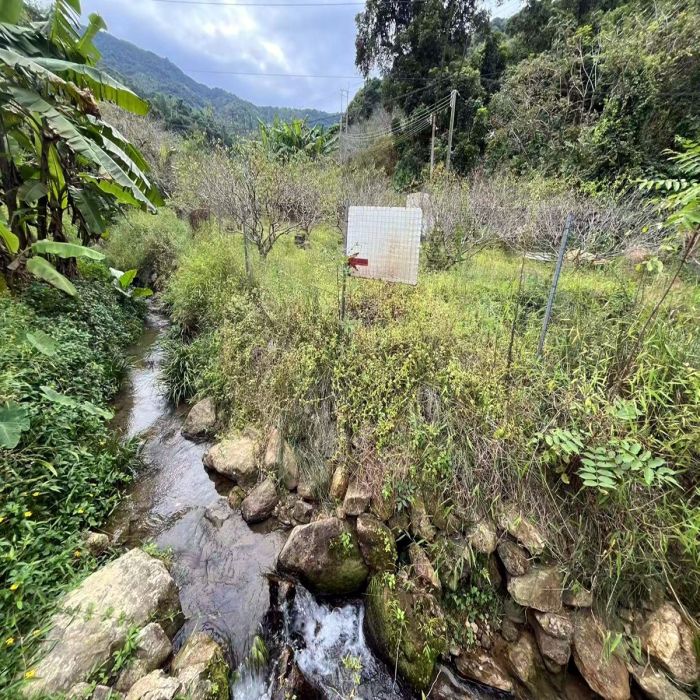 从化区良口旅游区溪水边6亩果园庄园整体转让