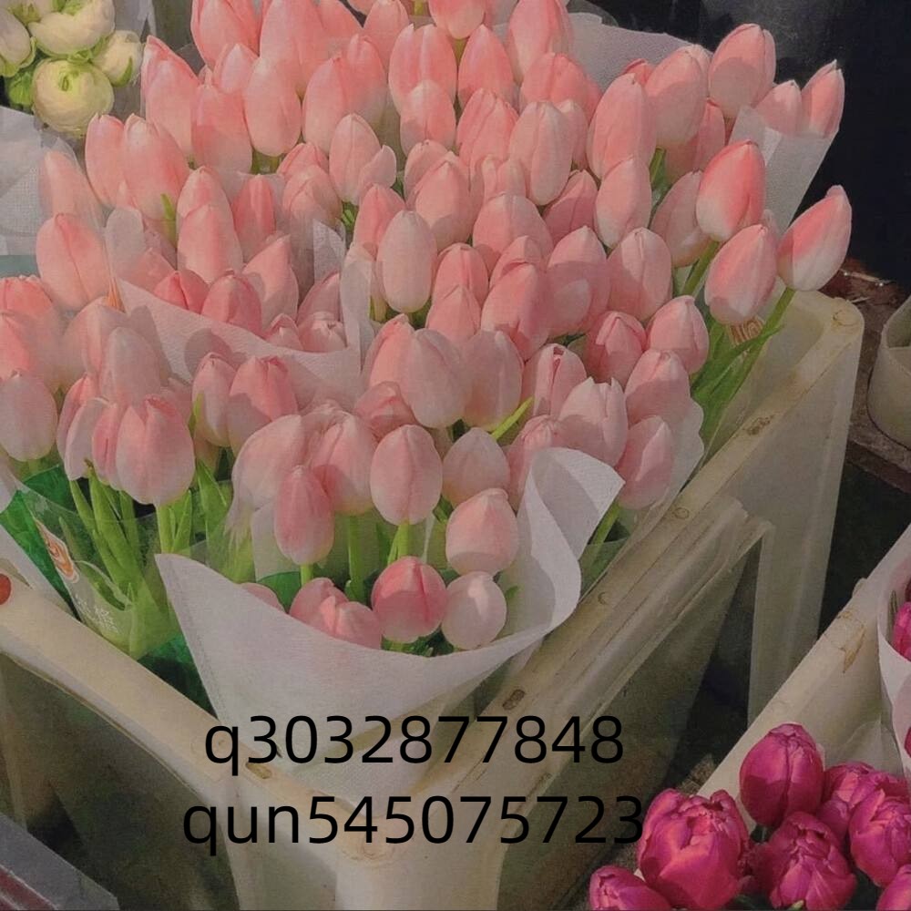 国际期货代理期货跳空低开是什么意思