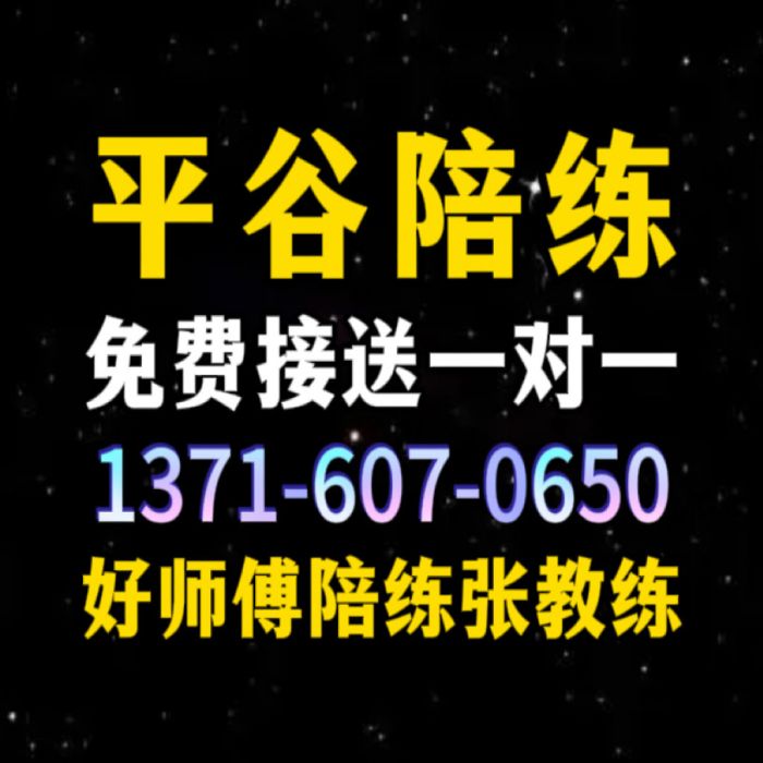 平谷好师傅汽车陪练1591手073机6625